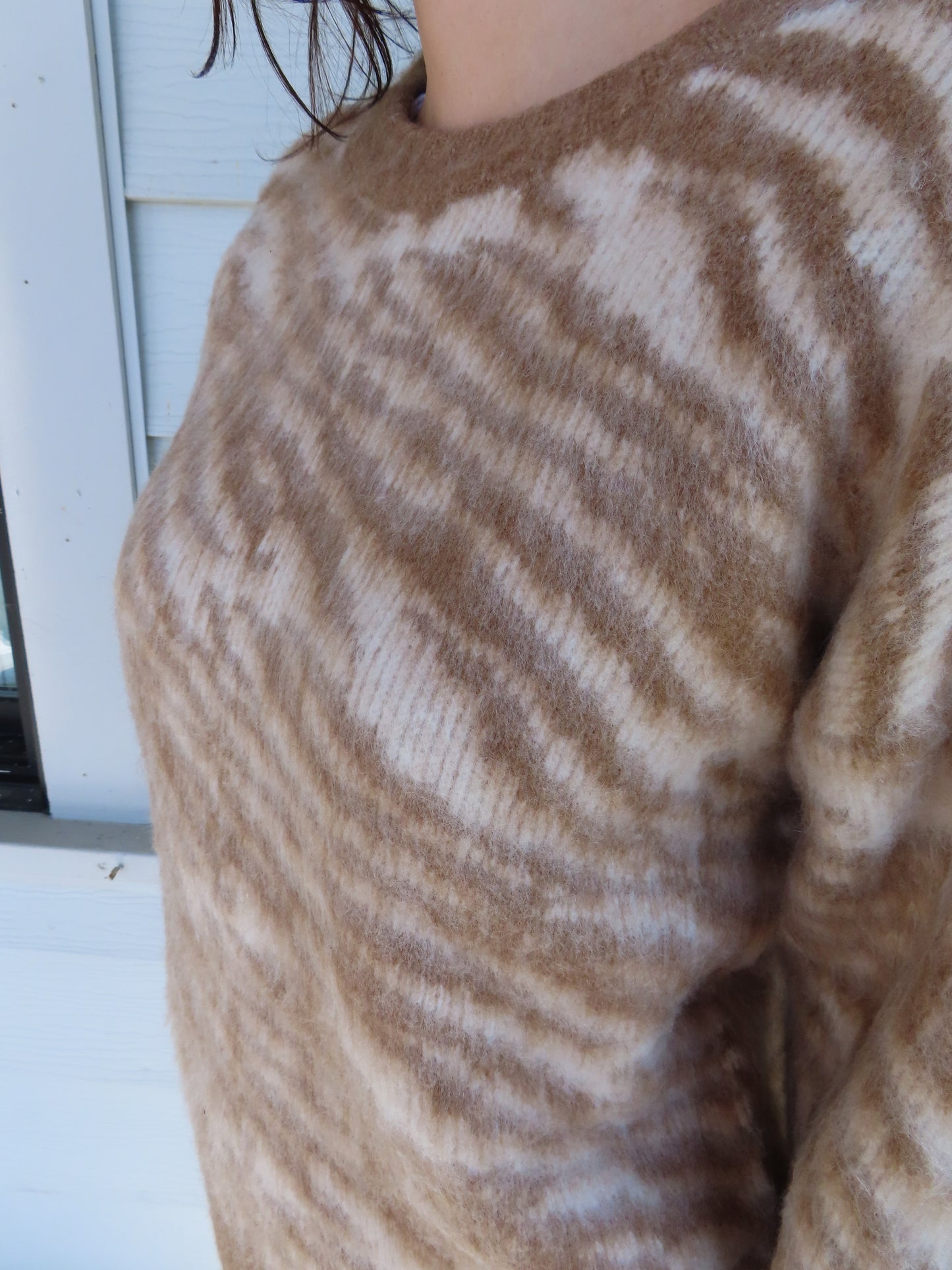 Zebra Brushed Sweater
