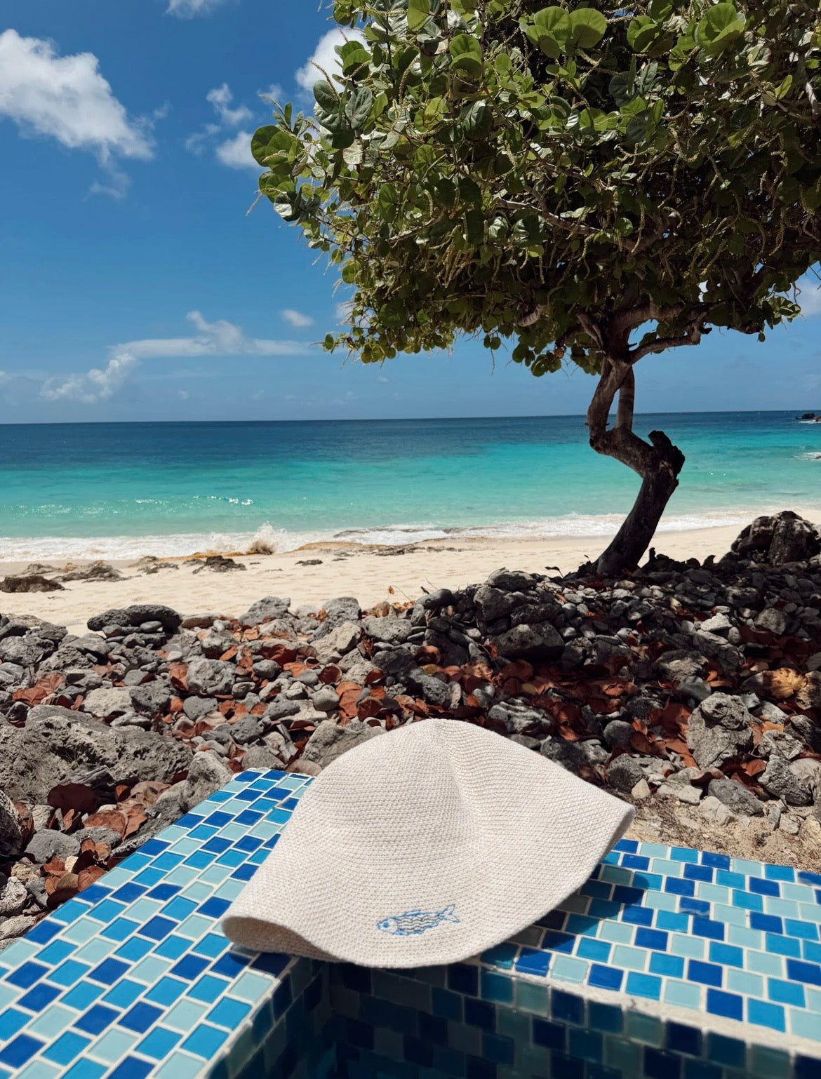 ALV Jewels Fish Icon Hat